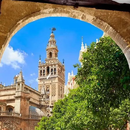 Apartamento G12 Trendy And Comfy Bright Loft Meters From Bullring And Trianas Bridge, Galera Street Sevilla